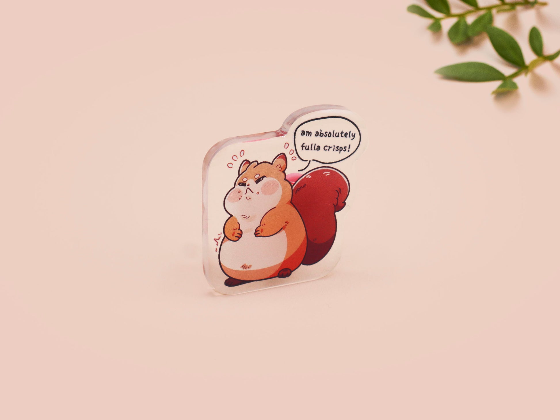 A cute transparent acrylic pin badge of a fat chibi squirrel stressing out with a speech that says am absolutely fulla crisps, the quote is from the viral Scottish meme.