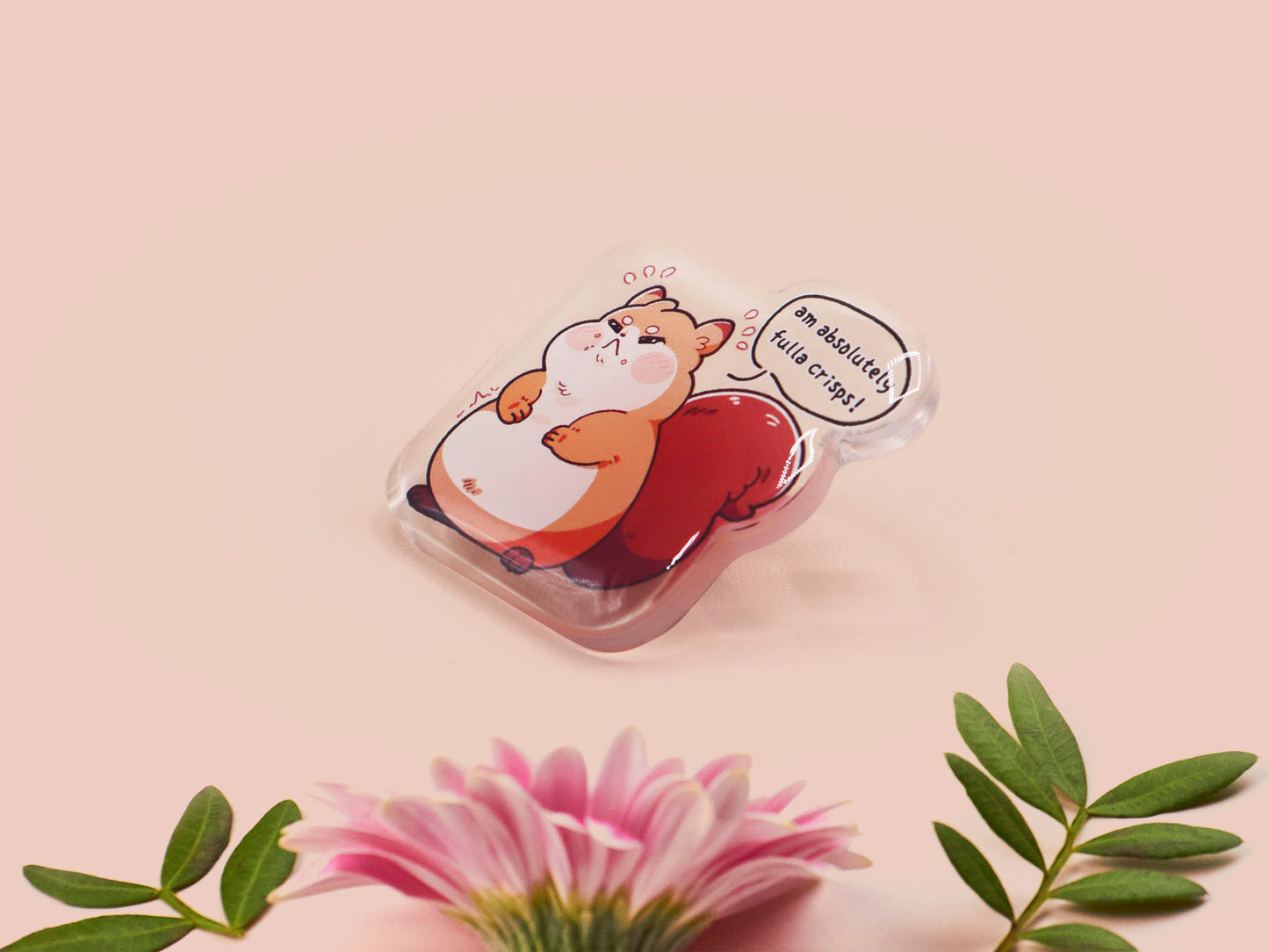 A cute transparent acrylic pin badge of a fat chibi squirrel stressing out with a speech that says am absolutely fulla crisps, the quote is from the viral Scottish meme.