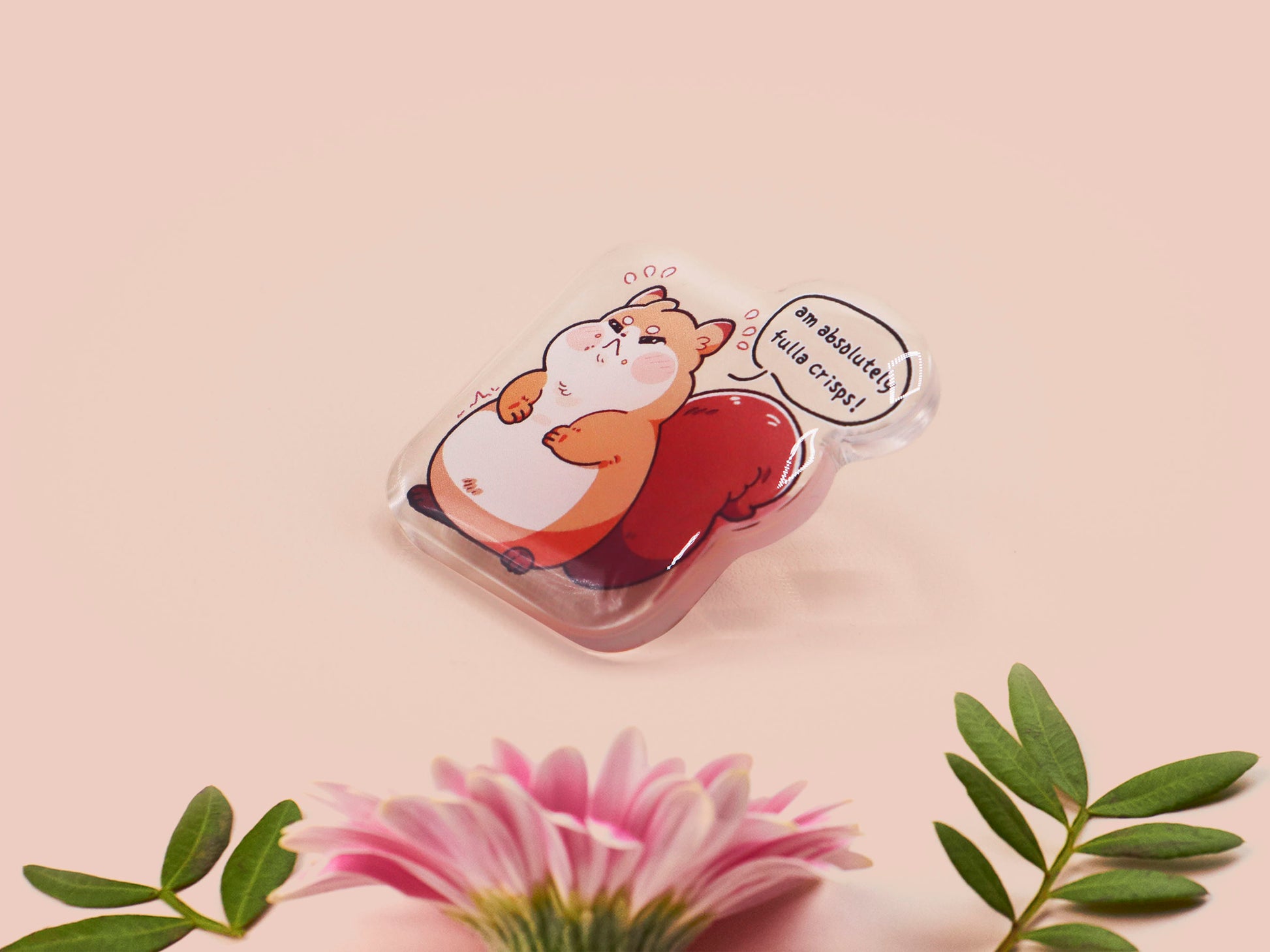 A cute transparent acrylic pin badge of a fat chibi squirrel stressing out with a speech that says am absolutely fulla crisps, the quote is from the viral Scottish meme.