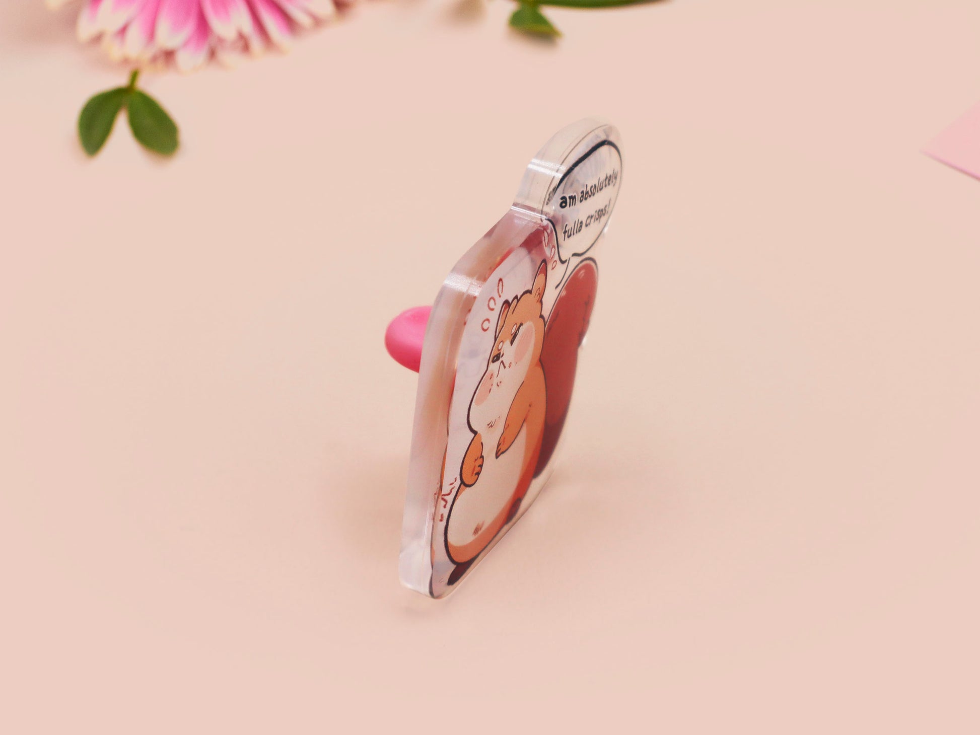 A cute transparent acrylic pin badge of a fat chibi squirrel stressing out with a speech that says am absolutely fulla crisps, the quote is from the viral Scottish meme.