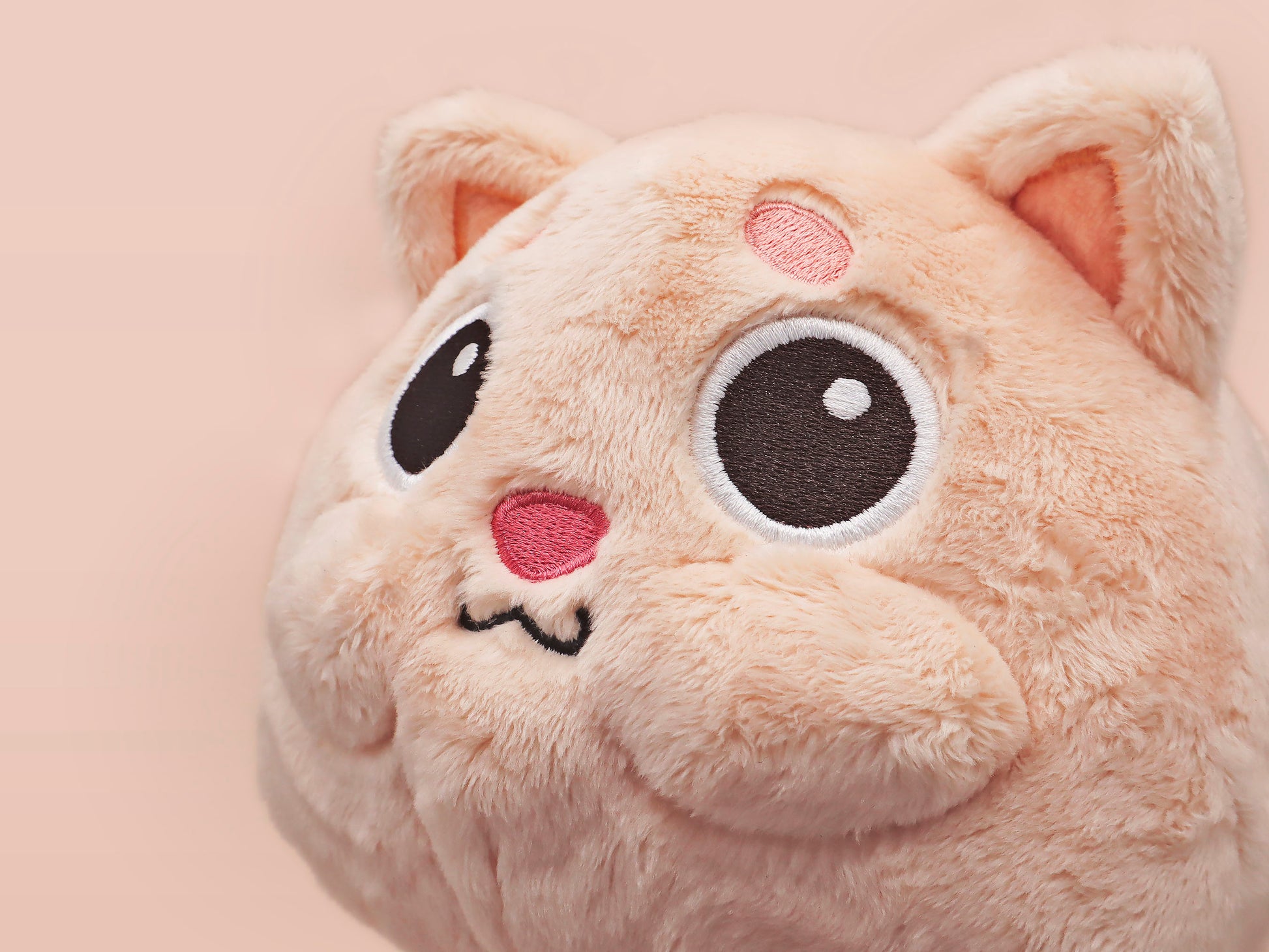 An adorable fluffy cat plushie toy with cute embroidered eyes, facial expression and applique stripes, with a hang tag describing the cat as Brenda.