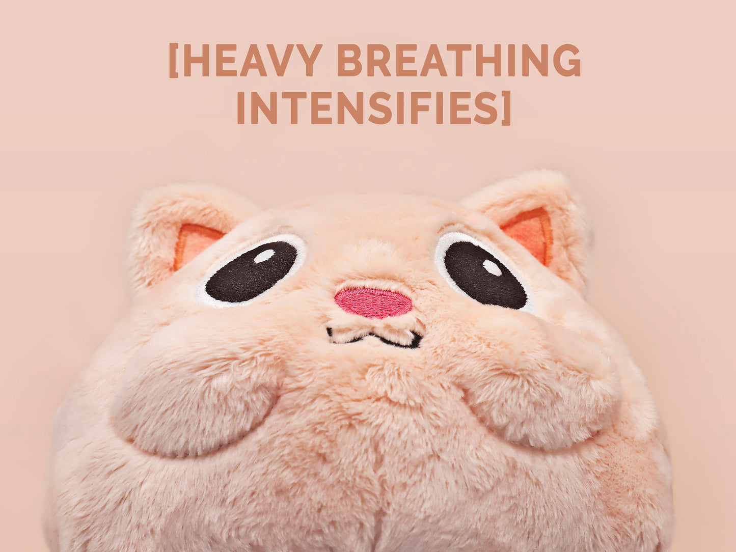 An adorable fluffy cat plushie toy with cute embroidered eyes, facial expression and applique stripes and pawprint toe beans, with a hang tag describing the cat as Brenda.