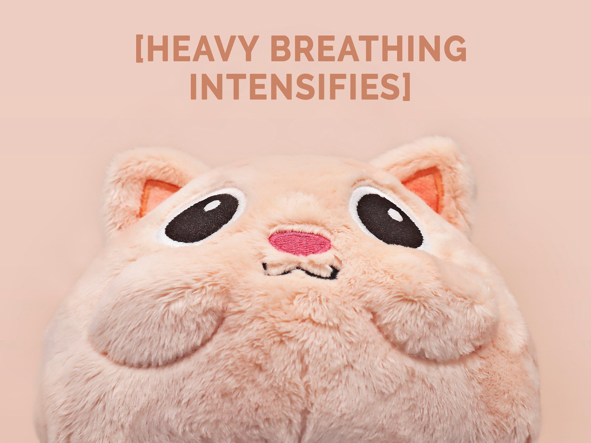 An adorable fluffy cat plushie toy with cute embroidered eyes, facial expression and applique stripes and pawprint toe beans, with a hang tag describing the cat as Brenda.