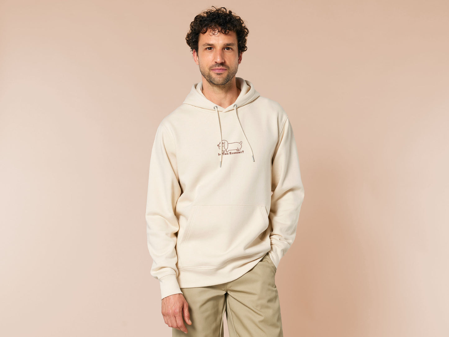 A cream crew neck long sleeve hoodie, with an embroidered brown thread design of a cute daschund dog looking concerend surrounded by the quote In This Economy?