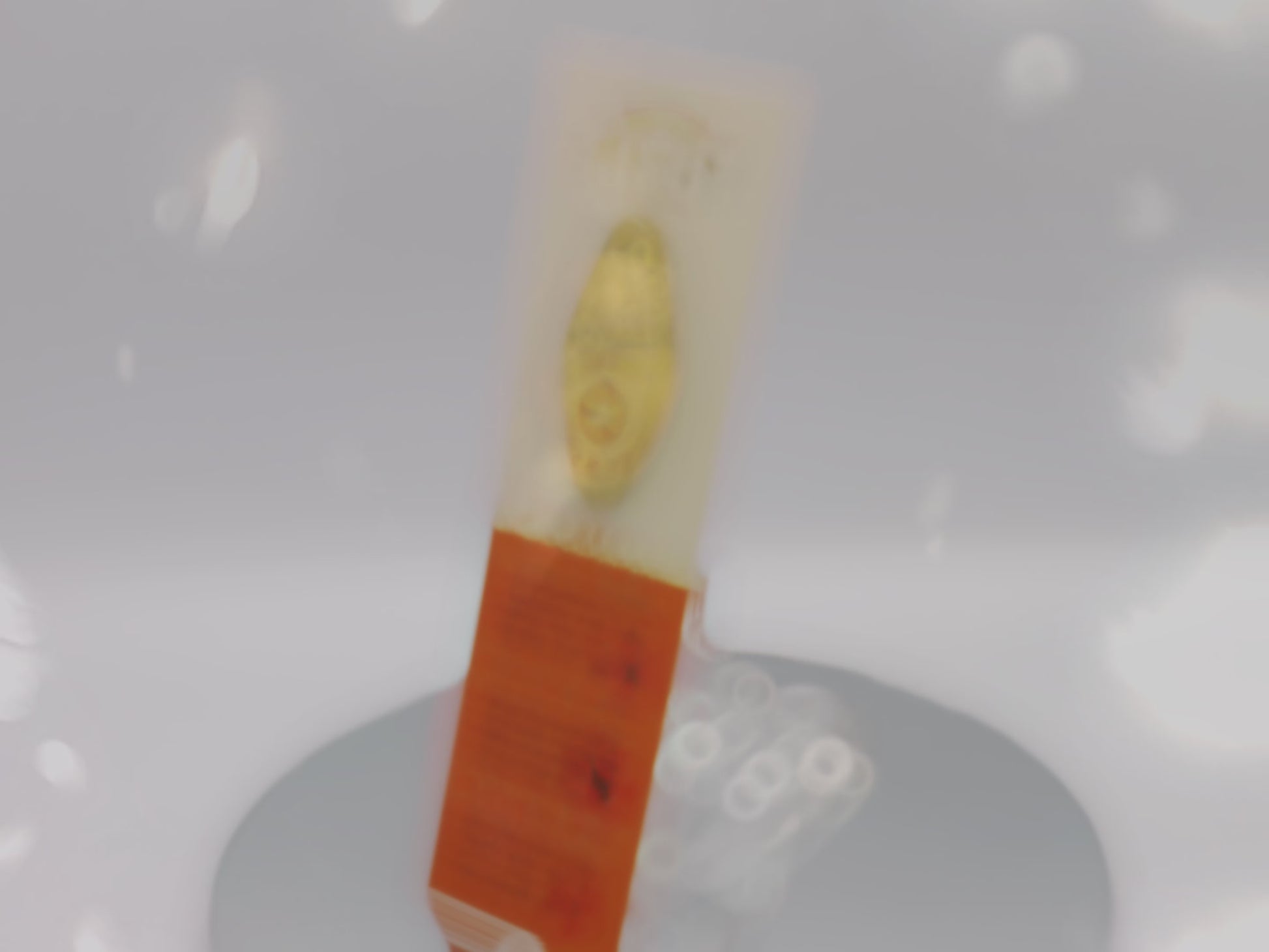 Video of the front and back of the Gold Enamel Talisman Pin with yellow design and the words Artist's Talisman sits on a long white and orange backing card with gold accents. The backing card has details the symbolism of the different design elements of the Talisman pin.