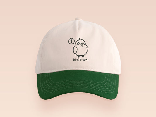Vintage contrast cream and green peek baseball cap with an embroidered design of a cartoon bird and the quote bird brain.