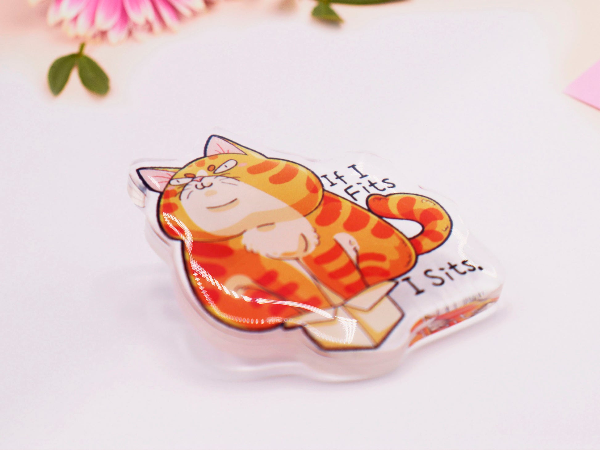 Acrylic pin badge on backing card of a fat ginger cat sat in a small cardboard box with the quote If I Fits I Sits.