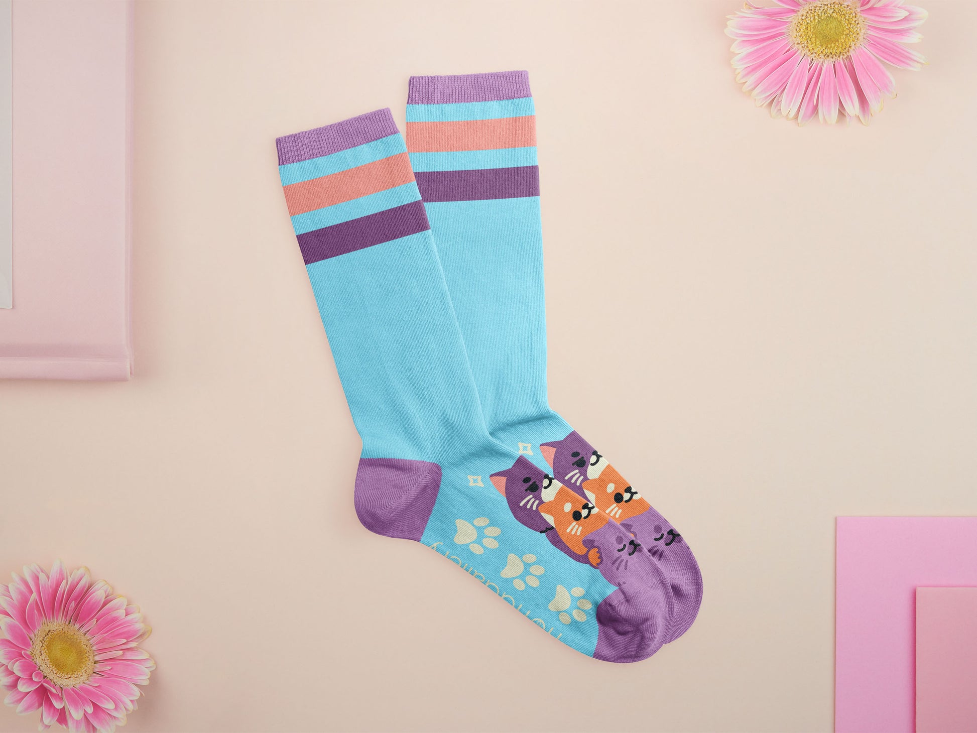 Cute knitted cotton crew socks with different cute cats and kittens pattern design on the toes of the socks.
