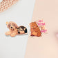 Meme-Katzen-Stickerbogen