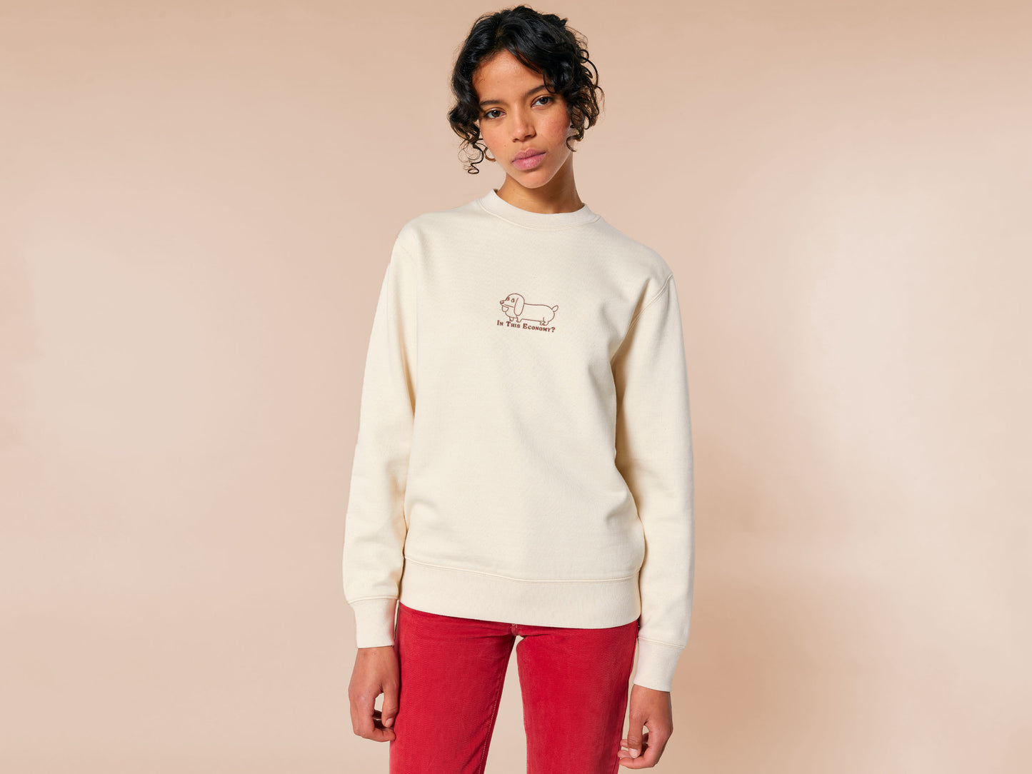 A cream crew neck long sleeve sweater, with an embroidered brown thread design of a cute daschund dog looking concerend surrounded by the quote In This Economy?