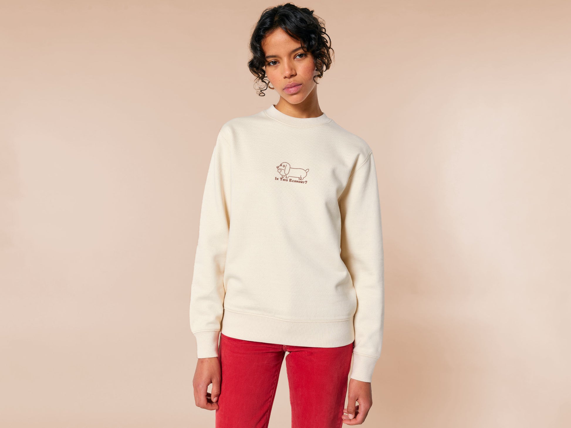 A cream crew neck long sleeve sweater, with an embroidered brown thread design of a cute daschund dog looking concerend surrounded by the quote In This Economy?