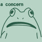 An embroidered green t-shirt design of a funny cartoon frog with the text a concern.