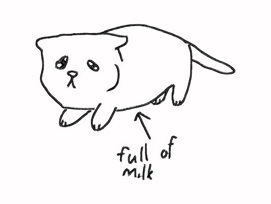 Embroidered white t-shirt design of a cute chibi kitten cat with an arrow pointing at its belly and the text full of milk