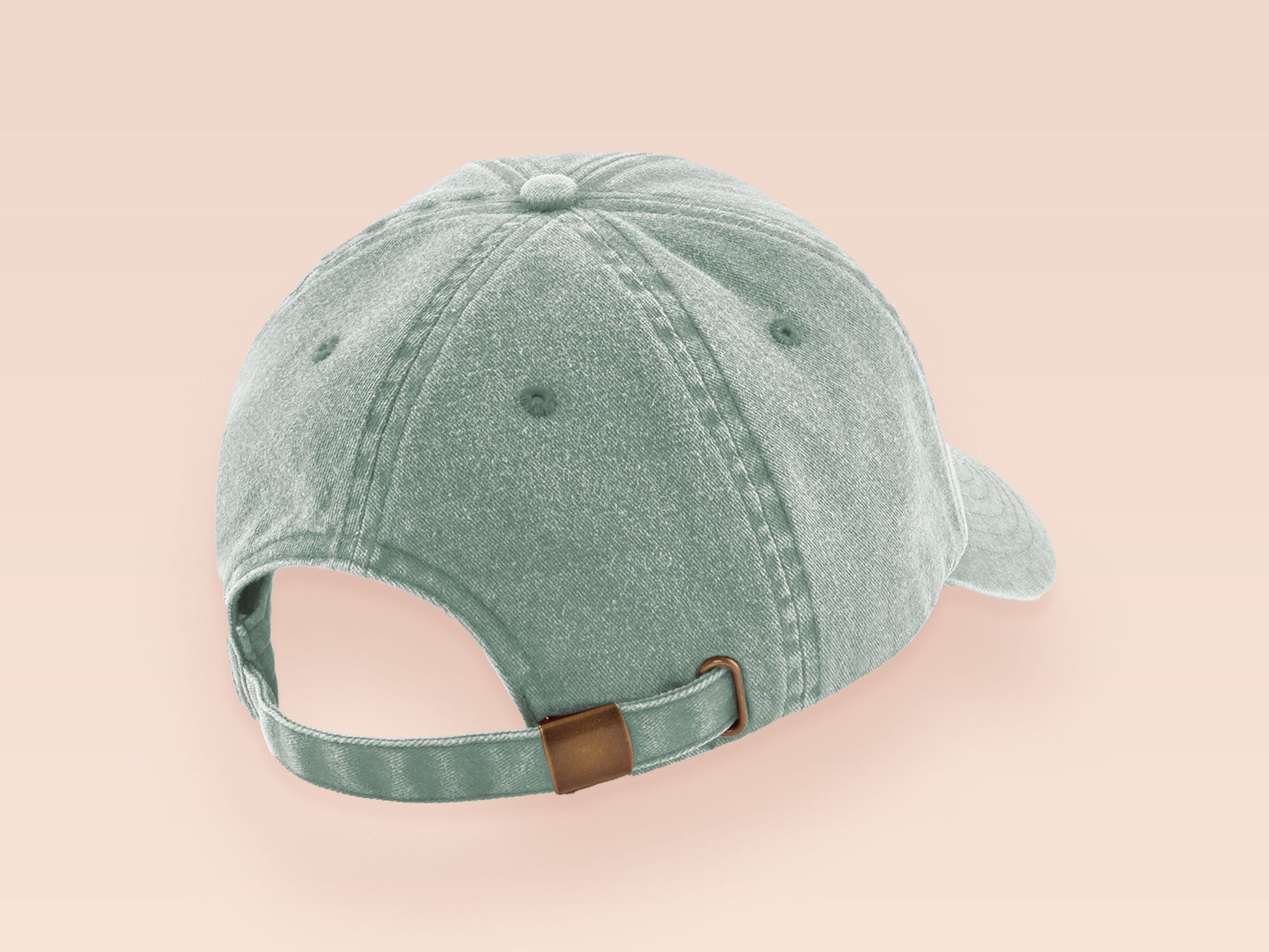 Vintage green baseball cap hat with an embroidered design of a cute blue fish with the quote Fish Want Women Me Fear Me.