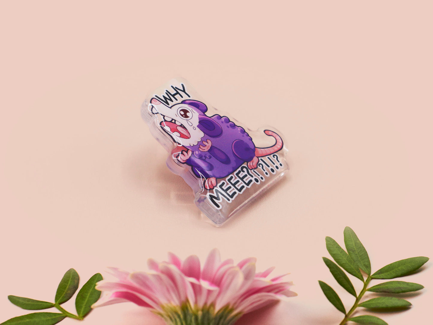 A clear acrylic pin badge with a heart-shaped pin rubber pin back clasp. The design of the pin badge is a cute cartoon screaming possum with the quote why me?!